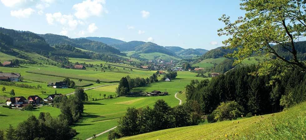 Gasthaus Zum Wilden Mann Welschensteinach Dış mekan fotoğraf