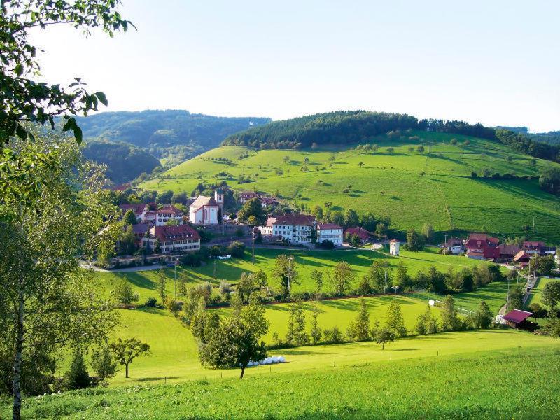 Gasthaus Zum Wilden Mann Welschensteinach Dış mekan fotoğraf